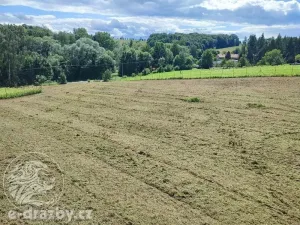 Dražba pozemku pro bydlení, Bruzovice, 11054 m2