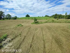 Dražba pozemku pro bydlení, Bruzovice, 11054 m2