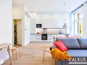 Pronájem bytu 2+kk, Hradec Králové, Eliščino nábřeží, 44 m2