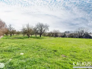 Prodej zemědělské usedlosti, Hřibojedy, 112 m2