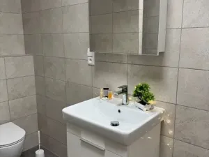 Pronájem bytu 2+kk, Rostěnice-Zvonovice, 52 m2