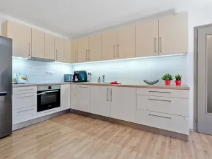 Prodej bytu 2+kk, Brno, Cejl, 58 m2