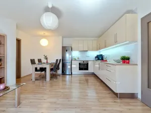 Prodej bytu 2+kk, Brno, Cejl, 58 m2