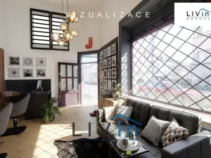 Pronájem obchodního prostoru, Olomouc, Husitská, 54 m2