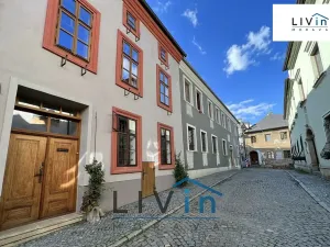 Pronájem bytu 1+1, Olomouc, Kapucínská, 23 m2