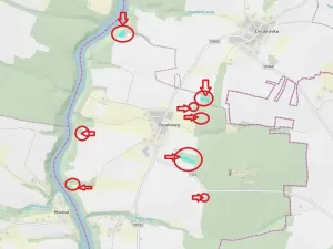 Prodej lesa, Chrášťany, 11900 m2