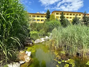 Prodej bytu 1+kk, Frymburk, 30 m2