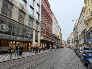 Pronájem obchodního prostoru, Praha - Nové Město, Vodičkova, 300 m2