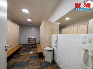 Prodej restaurace, Frýdlant nad Ostravicí - Lubno, 533 m2