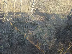 Dražba pozemku, Mladeč, 31766 m2