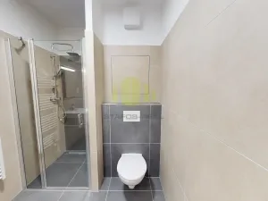 Pronájem bytu 1+kk, Olomouc, Janského, 36 m2