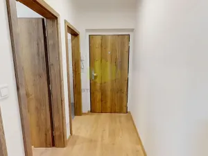 Pronájem bytu 1+kk, Olomouc, Janského, 38 m2