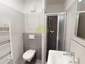 Pronájem bytu 1+kk, Olomouc, Janského, 38 m2