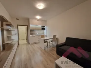 Pronájem bytu 1+kk, Praha - Vršovice, Novgorodská, 30 m2