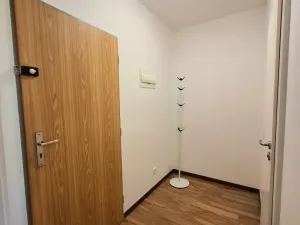 Pronájem bytu 1+kk, Klecany, V Honech, 29 m2