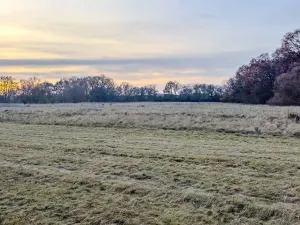 Prodej pole, Oseček, 76028 m2