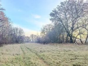 Prodej pole, Oseček, 76028 m2