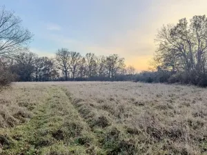 Prodej pole, Oseček, 76028 m2