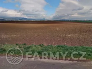 Prodej podílu pole, Keblice, 284329 m2