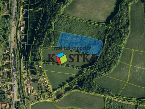 Prodej lesa, Nový Jičín, 15225 m2