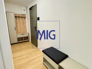 Pronájem bytu 2+kk, Brno, Bratislavská, 54 m2