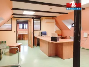 Pronájem restaurace, Litoměřice - Předměstí, U Katovny, 400 m2