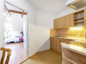 Pronájem bytu 1+1, Brno, Spolková, 41 m2