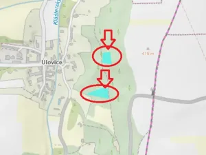 Prodej lesa, Ročov, 4272 m2