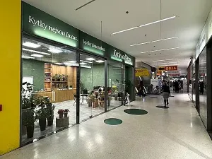 Pronájem obchodního prostoru, Brno, náměstí Svobody, 64 m2