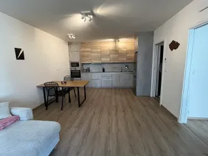 Pronájem bytu 2+kk, Brno, Placzkova, 59 m2