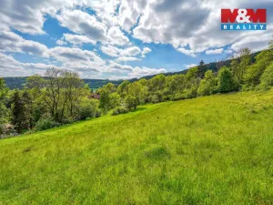 Prodej zahrady, Sušice - Nuzerov, 7751 m2