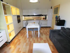 Pronájem bytu 2+kk, Praha - Holešovice, Veverkova, 50 m2