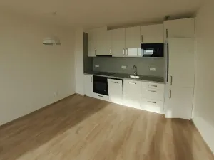 Pronájem bytu 2+kk, Plzeň, Hrachová, 43 m2