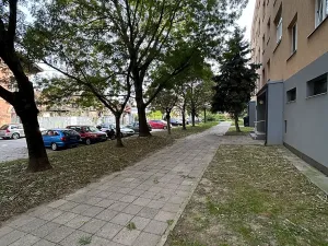 Pronájem bytu 2+kk, Brno, Křídlovická, 53 m2