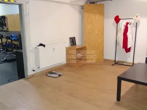 Pronájem komerční nemovitosti, Praha - Karlín, Pernerova, 358 m2