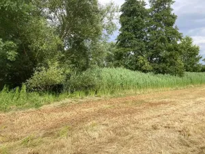 Prodej pozemku, Staňkovice, 438 m2