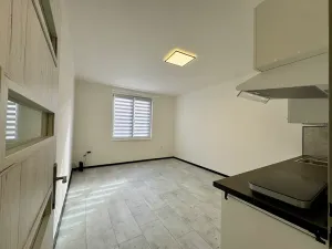 Pronájem bytu 1+kk, Příbram, Ve Dvoře, 24 m2