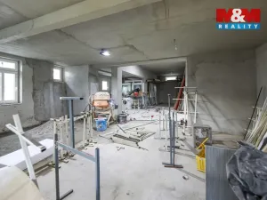 Prodej rodinného domu, Konstantinovy Lázně, Růžová, 767 m2