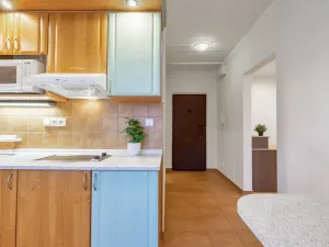 Prodej bytu 1+1, Svoboda nad Úpou, Rýchorské sídliště, 34 m2