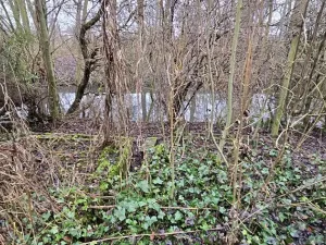 Prodej rodinného domu, Všetaty, Pod Uličkou, 180 m2