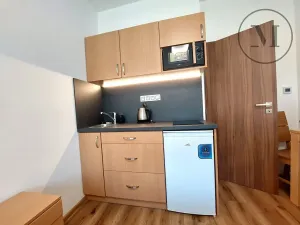 Prodej bytu 1+kk, Benešov nad Černou, 18 m2