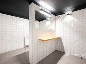 Prodej obchodního prostoru, Brno, Masarykova, 494 m2