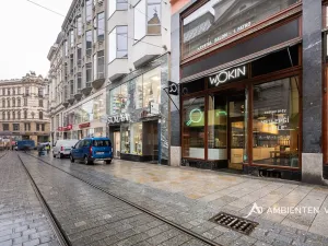 Prodej obchodního prostoru, Brno, Masarykova, 494 m2