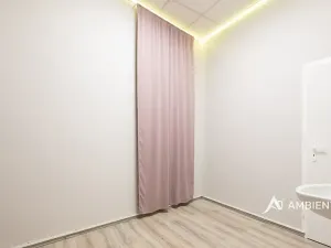 Prodej obchodního prostoru, Brno, Masarykova, 494 m2