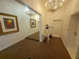 Prodej apartmánu, Brno, náměstí Svobody, 195 m2