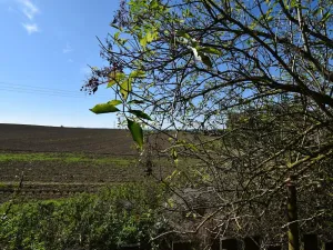 Prodej pozemku pro bydlení, Přestavlky u Čerčan, 496 m2