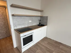 Pronájem bytu 1+1, Praha, Jílovská, 34 m2