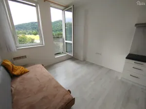 Pronájem bytu 1+kk, Sázava, Poznaňská, 18 m2