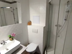 Pronájem bytu 1+kk, Sázava, Poznaňská, 18 m2