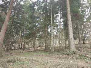 Prodej lesa, Francova Lhota, 5161 m2